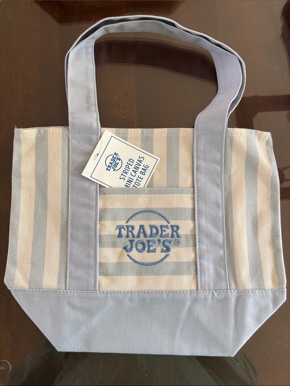 Trader Joe's Mini Striped Canvas Light Blue & Cream